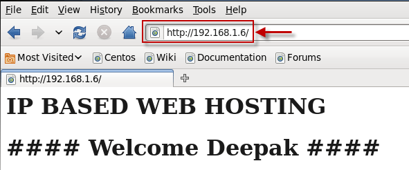 What are the different types of Virtual Web Hosting in Apache