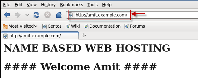 What are the different types of Virtual Web Hosting in Apache