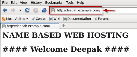 What are the different types of Virtual Web Hosting in Apache
